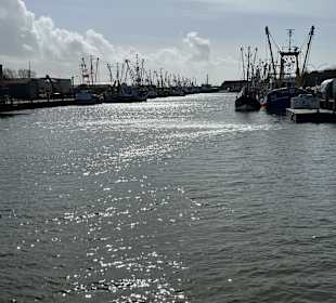 Hafen Büsum