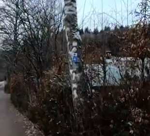 Kinzigtäler Jakobusweg