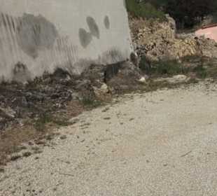 Burgruine Rechtenstein