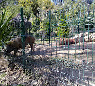 Tierpark Manavgat