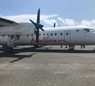 Persönliche Eindrücke