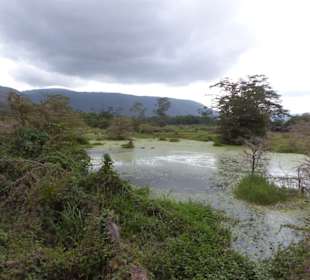 Ende Juni erlebten wir alles recht grün 
