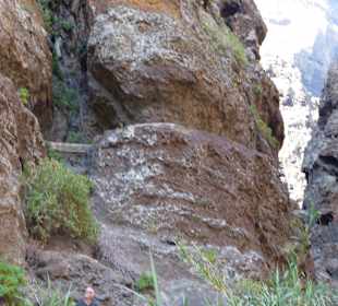 Blick nach oben