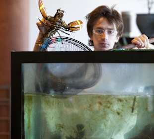 Ristorante Soleiado Rimini ristorante restaurant