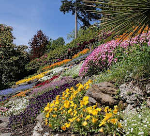 Park