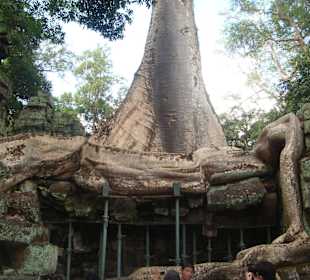 Angkor wat