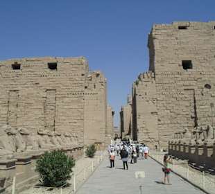 Widderallee beim Karnak Tempel