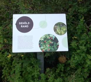 ALB-GOLD Naturgarten