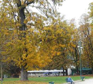 Parco Sempione