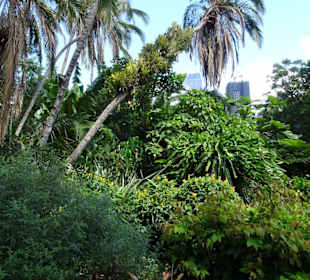 Stadtrundgang Sydney