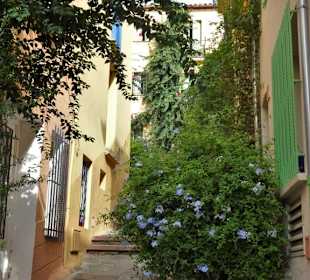 N den Gassen der Altstadt von Collioure