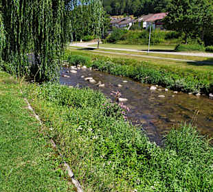 Stadtrundgang Schiltach