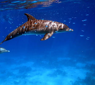 Bilder vom 13.10.16 von mir geschossen