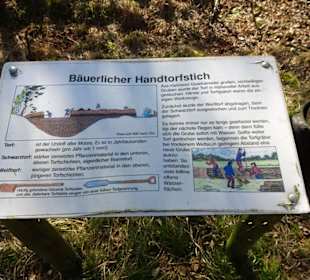 Infotafel in der Gellener Torfmöörte