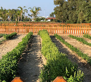 Wandern Villapiana Lido