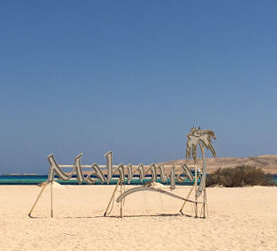 Giftun / Mahmya Inseln