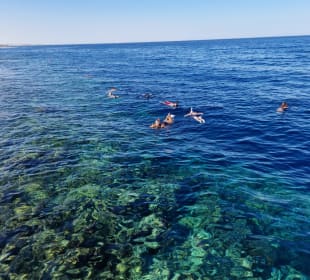 Schnorcheln Makadi Bay