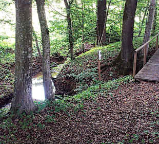 Romantischer Weg