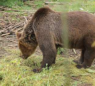 Auch das gibt es, keine Angst, sind hinter Gittern