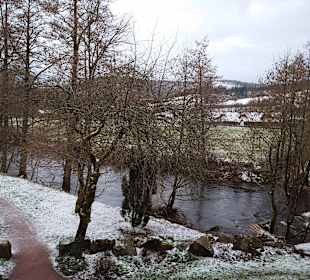 Wandern Bannwald Baiersbronn