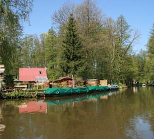 Kahnfahrt durch den idyllischen Spreewald