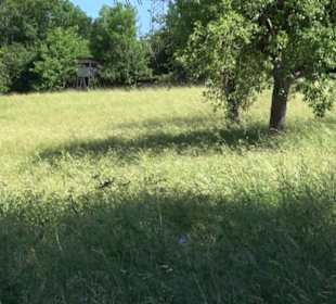 Eduard Lucas Musterobstgarten Mähringen