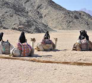 In der Wüste beim Ausflug