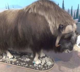 Ausstellung Eis Safari