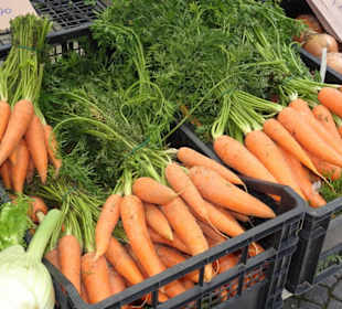 Rundgang über den Wochenmarkt von Tempio Pausania