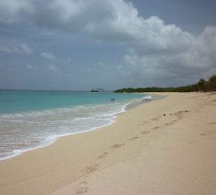 Petit Carenage / Carriacou, Grenada
