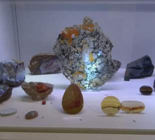 Museum für Naturkunde