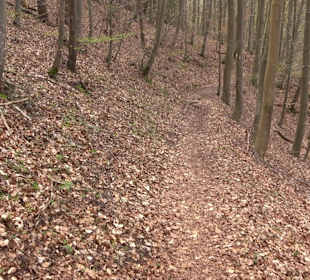 Wanderung rund um das Rusenschloss Gerhausen