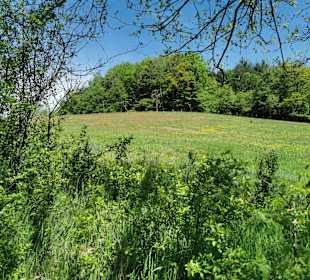 Wandern Rothenberg