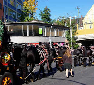 Privatbrauerei Kitzmann seit 1712