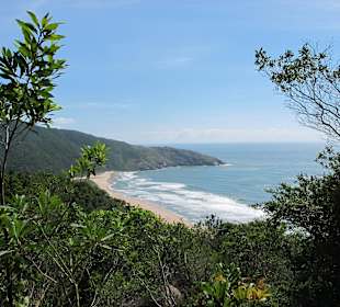 Blick auf Strand vom Weg von Pantano do Sul