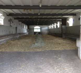 Haupt- und Landgestüt Marbach