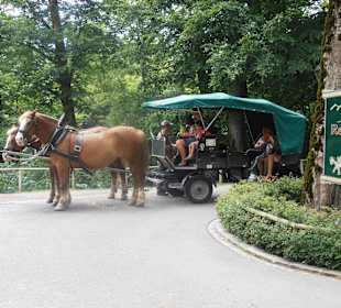 Man kann kutschieren