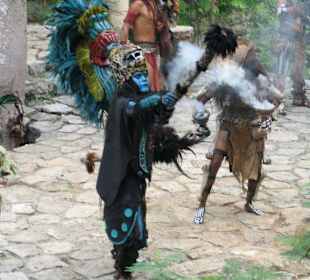 Mayashow