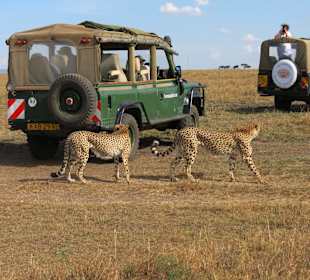 Erst mal die Lage peilen