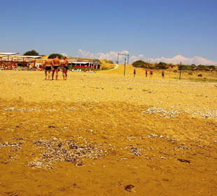 Gündogdu leichter Kies/Muschelbereiche