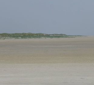 Große Sandbank und Dünen in St. Peter Ording