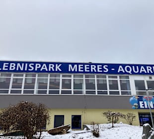 Meeresaquarium