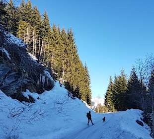 Wandern Kleinarl