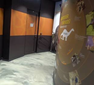 Dinosaurier Museum Altmühltal