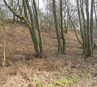 Wunderschöne Boberger Niederung
