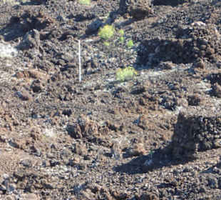 Unterwegs im Archäologiepark Maipés