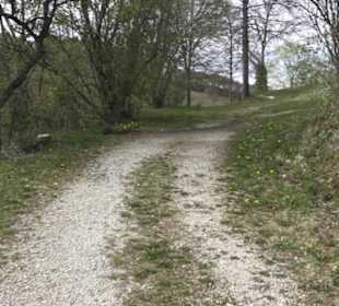 Ruine Niedergundelfingen