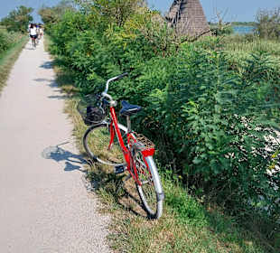 Sport & Freizeit