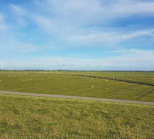 Wandern Emmelsbüll-Horsbüll