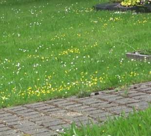 Friedhof Unteriflingen